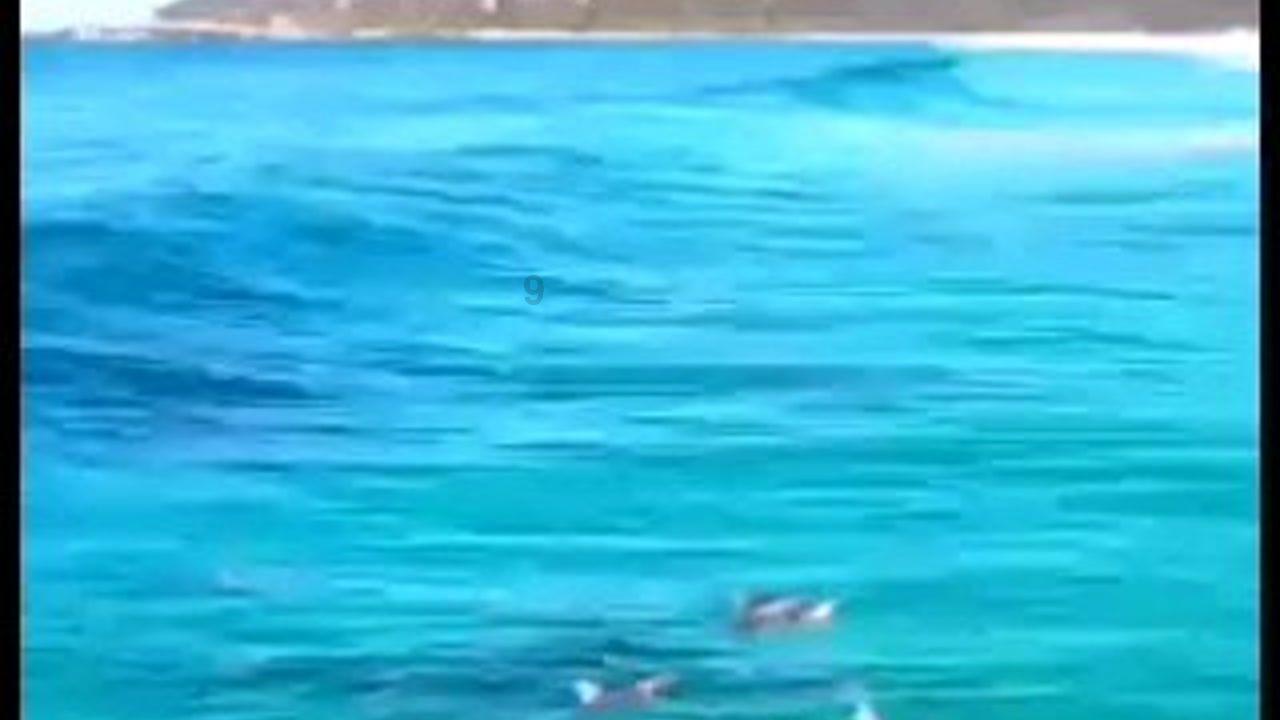 水果益智对对碰